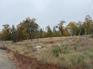 Merlin Townsite - Land