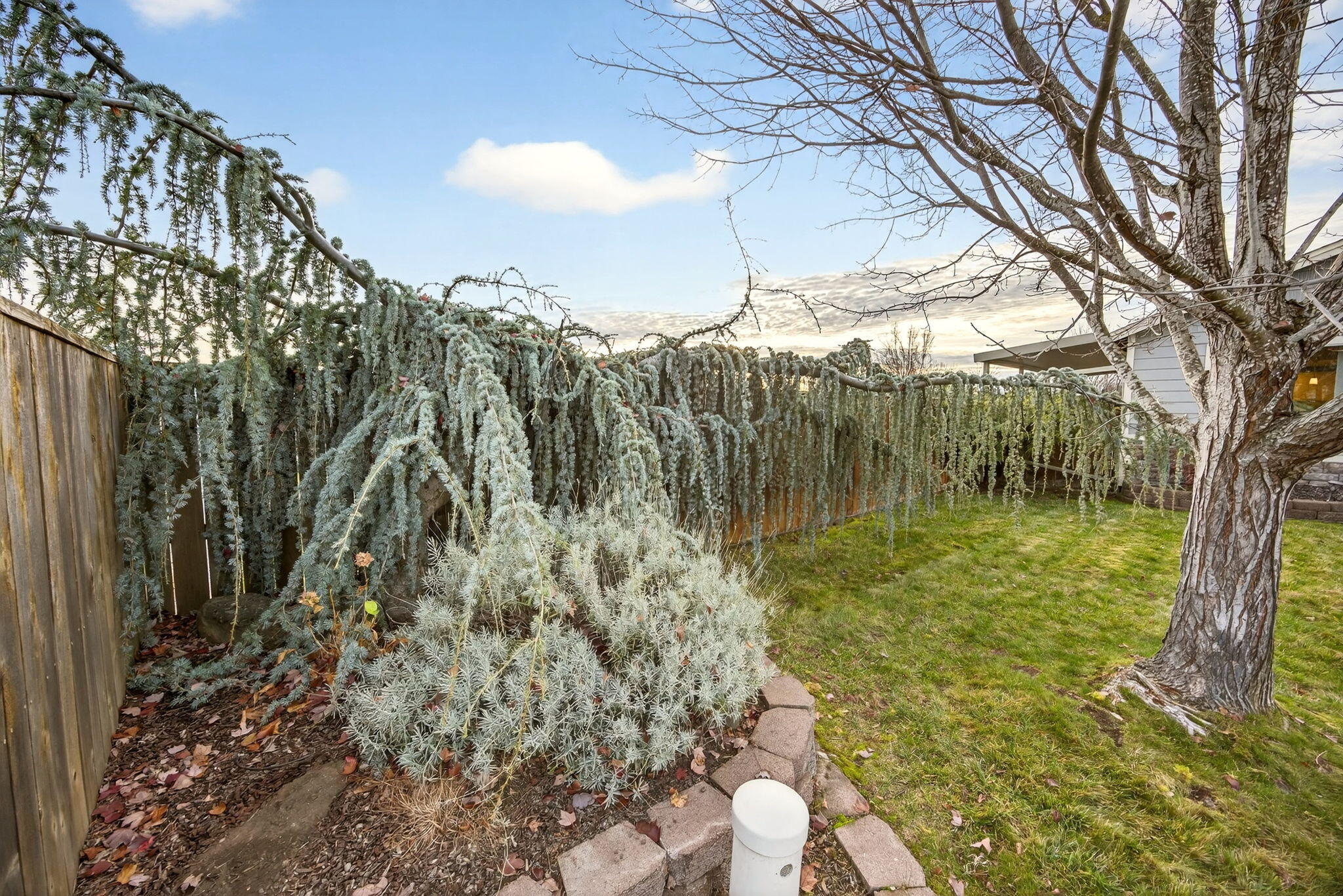 Fallbrook Meadows - Residential