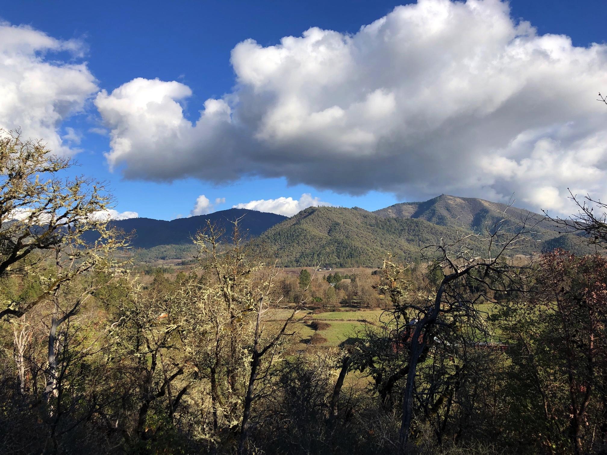 If privacy and views are your vision for a new home site, then check out this Beautiful, Wooded Area featuring 14.72 acres on two tax lots. One tax lot is 11.37 acres (TL 2402) and One tax lot is 3.35 acres (TL 1100). Wooded with a rolling hillside, and only 20 minutes from town.  Property is unimproved and zoned RR-5.  Buyer to do their own due diligence to the uses of this property.