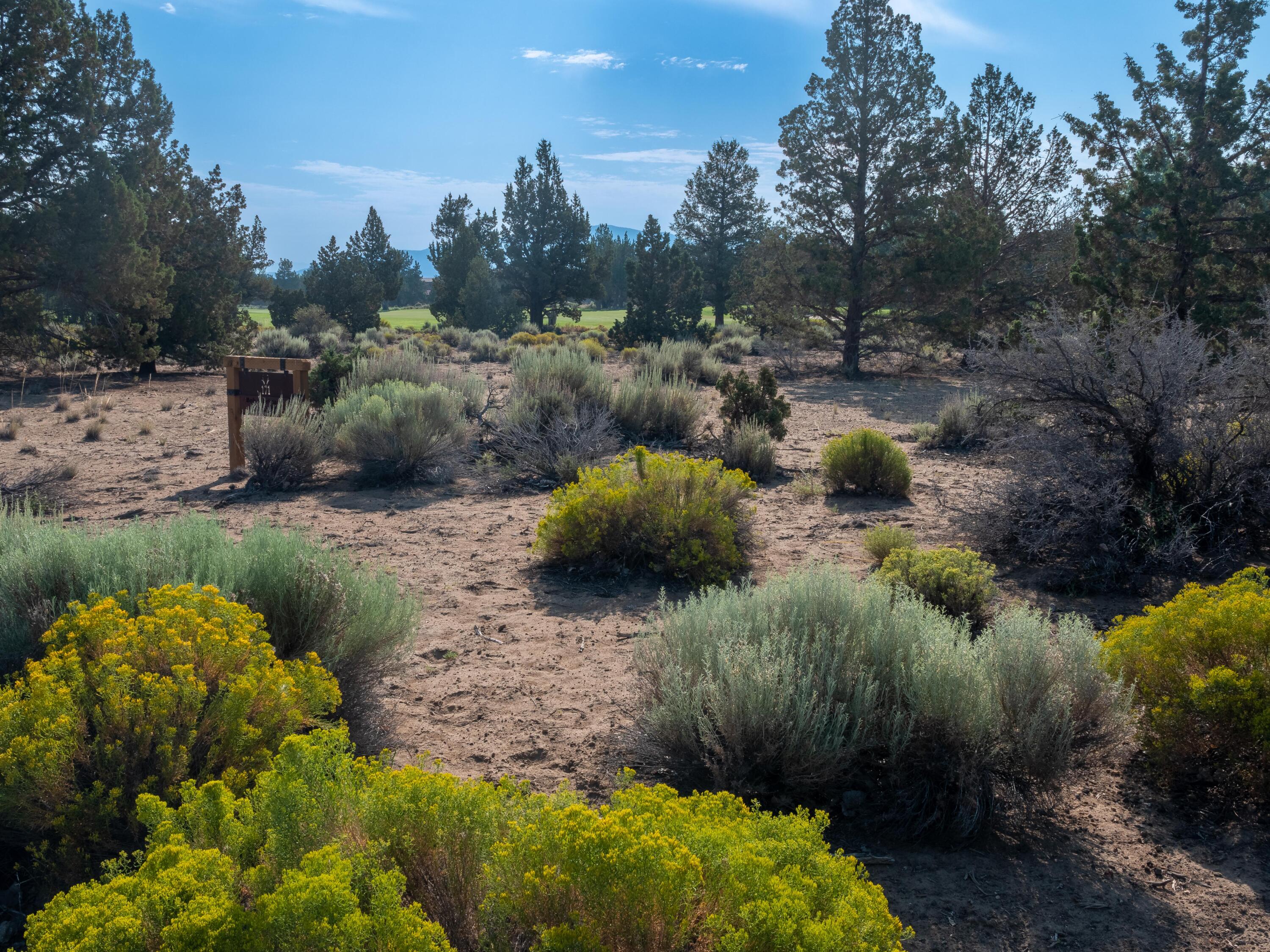 Pronghorn - Land