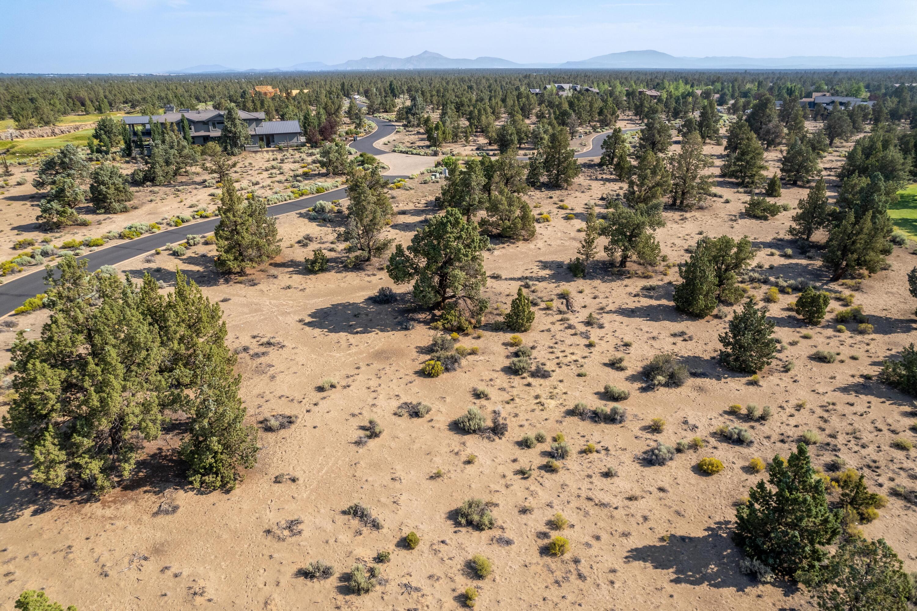 Pronghorn - Land
