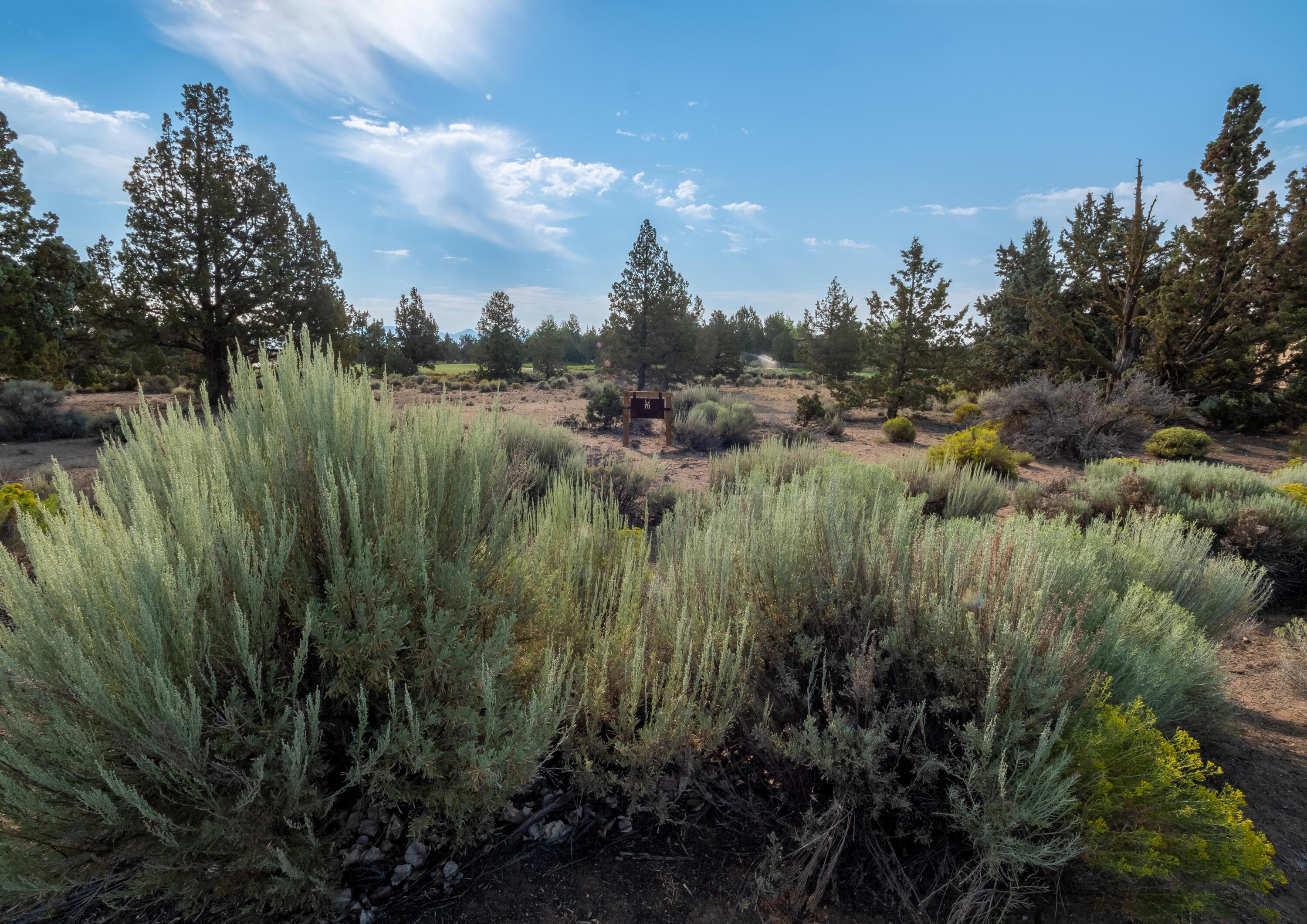 Pronghorn - Land