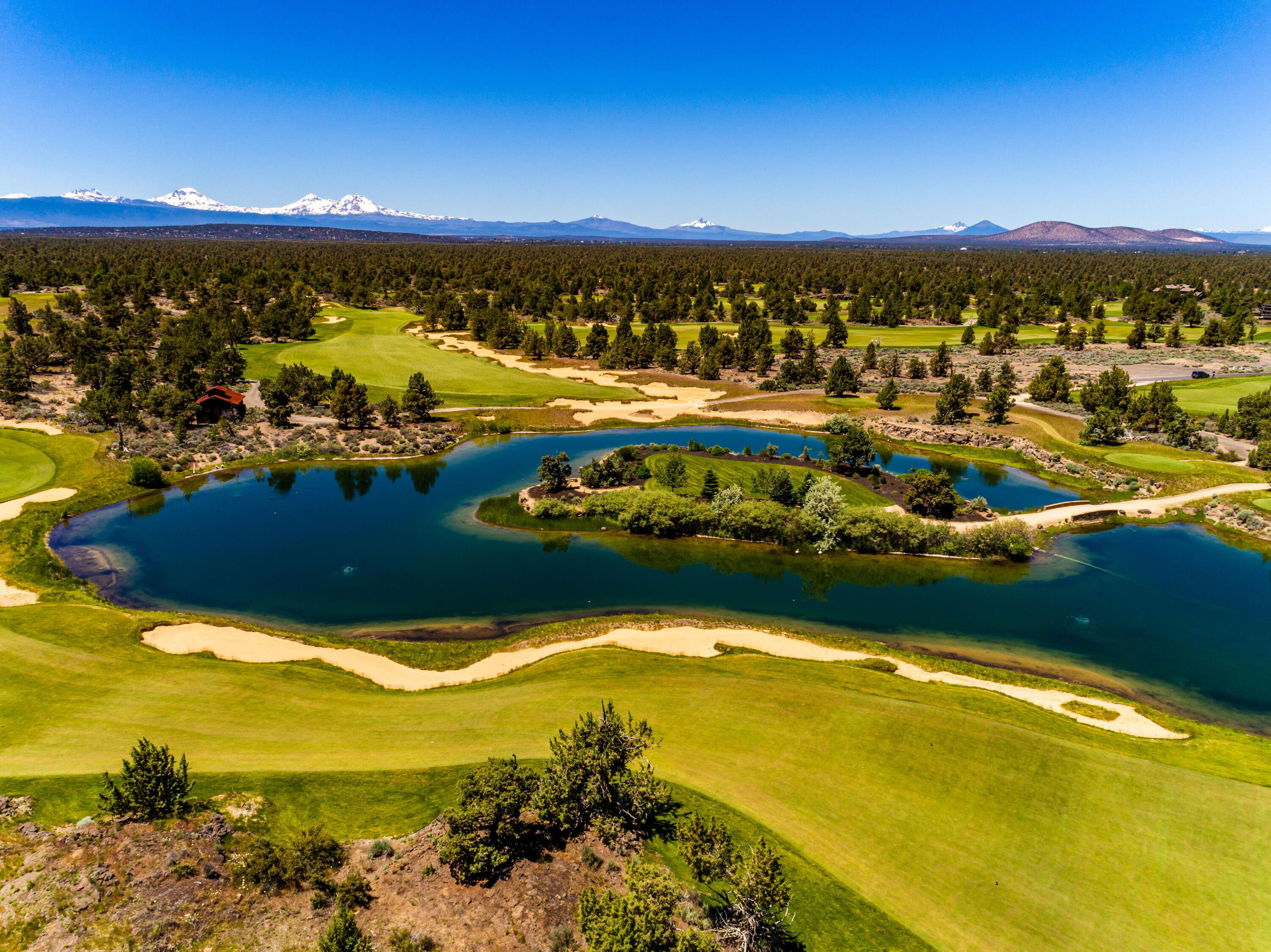 Pronghorn - Land