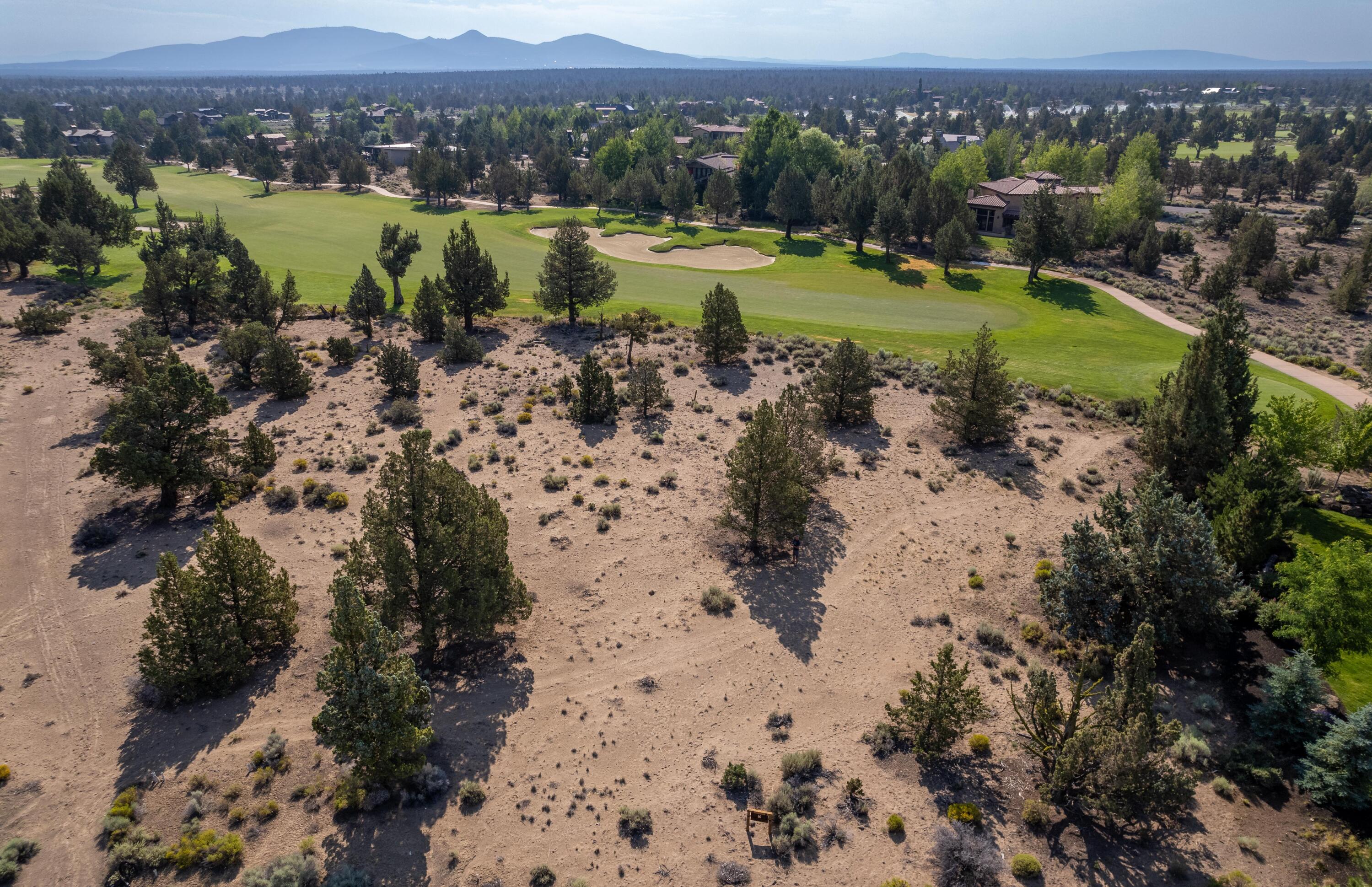 Pronghorn - Land