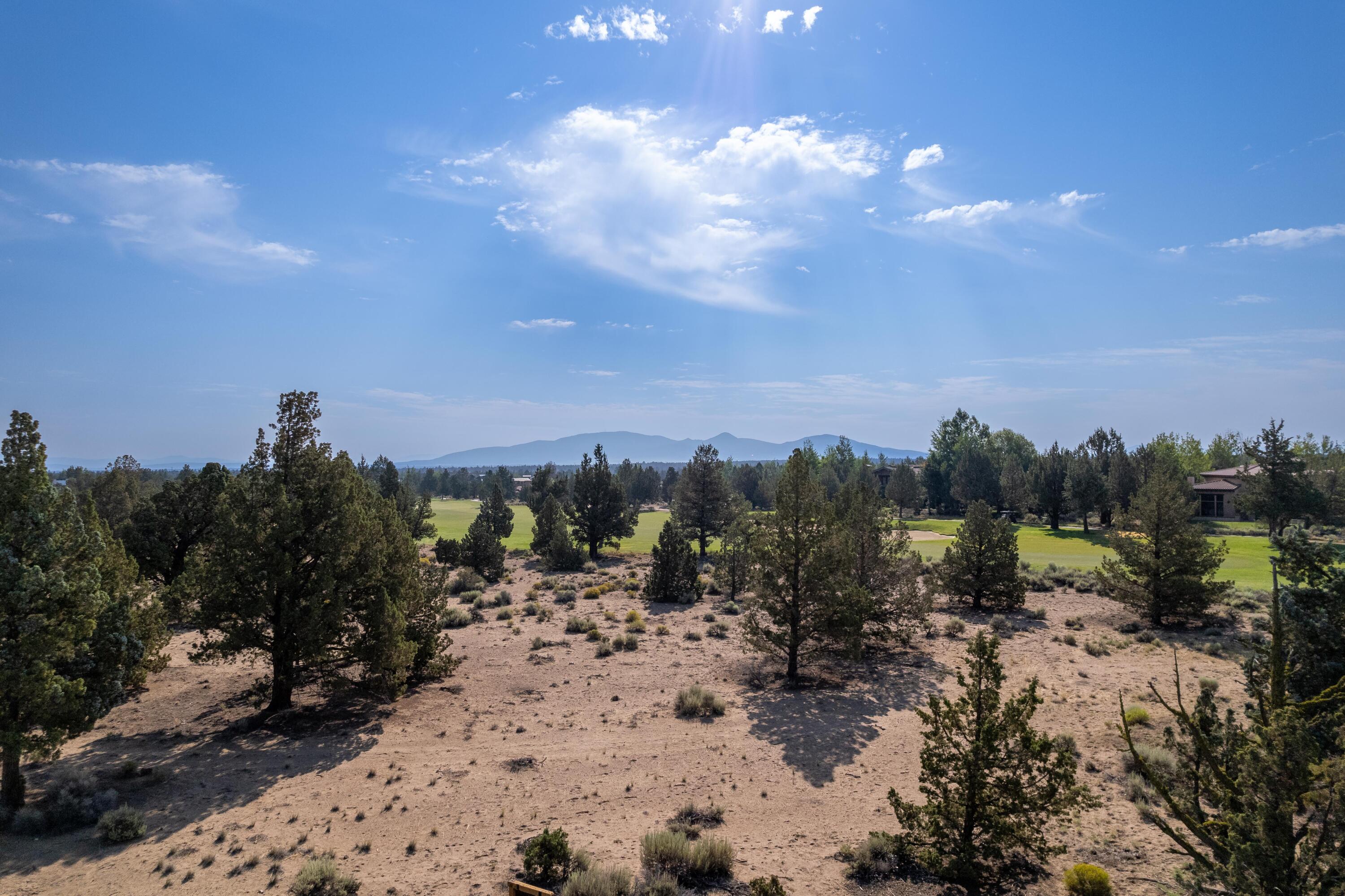 Pronghorn - Land