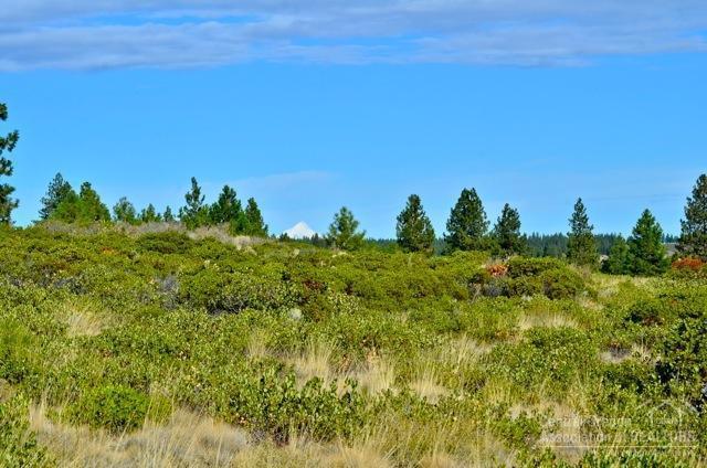 Flat .70 acre lot backing to the Deschutes National Forest. Close proximity to the clubhouse and growing Tetherow amenities. Uniquely buffered on the north and west sides by Forest Service land with the Phil's trail system out your backdoor. Mt. Jefferson, Pilot Butte & Awbrey Butte views. Single level or two story design options on this over-sized rectangular lot.