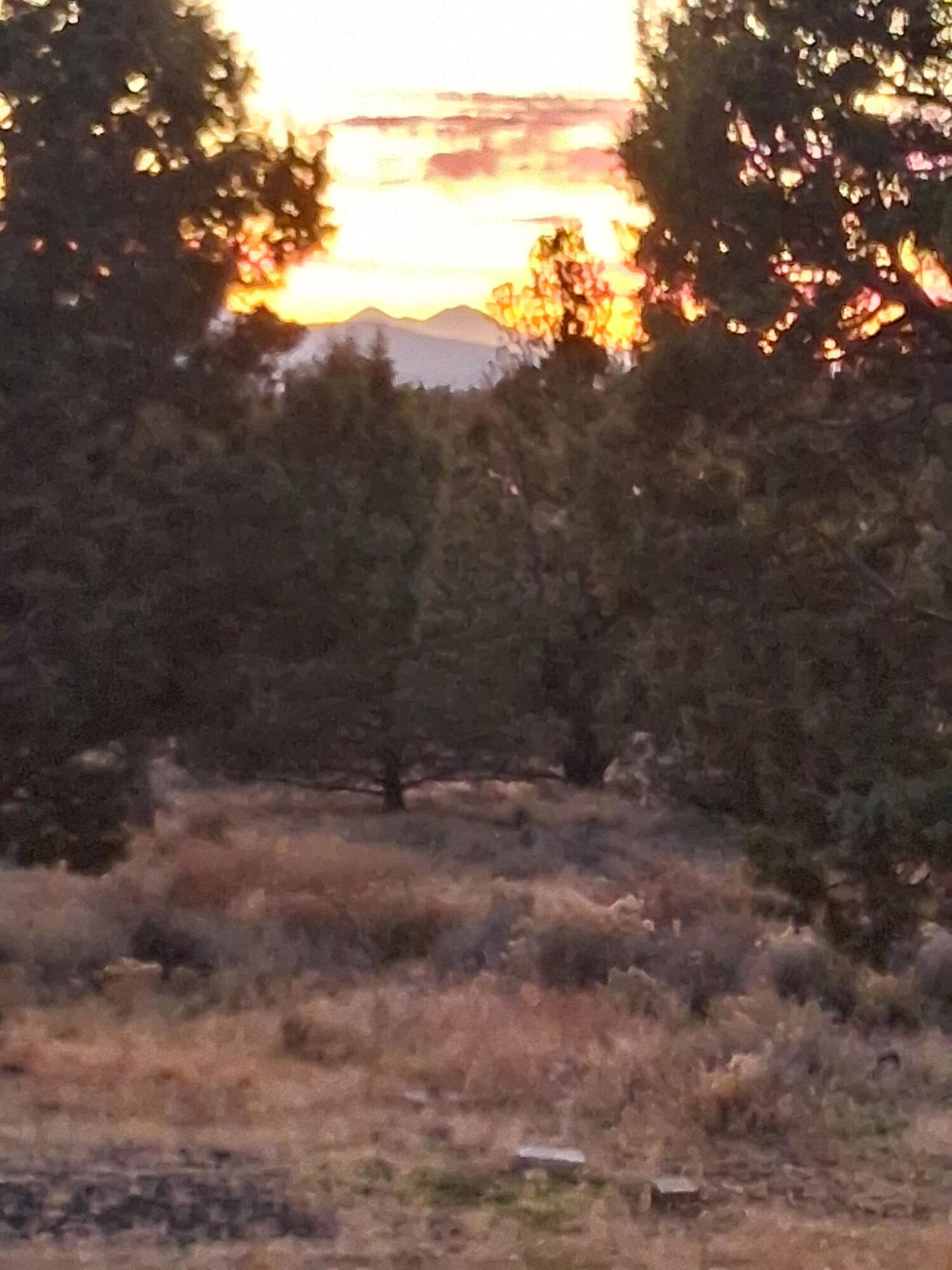 Ochoco Land + Livest - Residential
