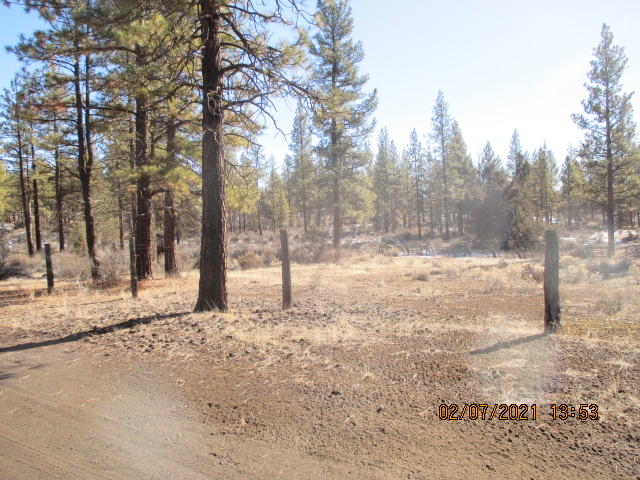 Klamath Forest Estates - Land