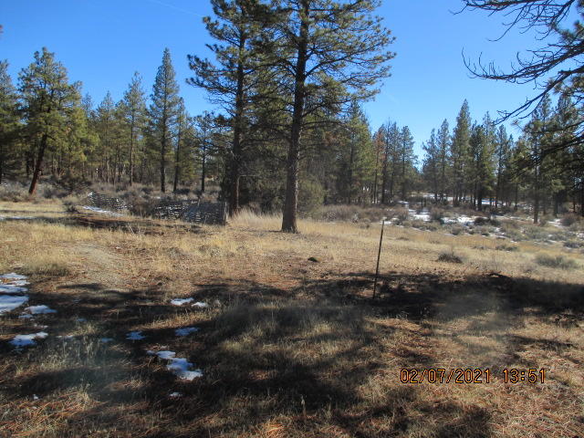 Klamath Forest Estates - Land