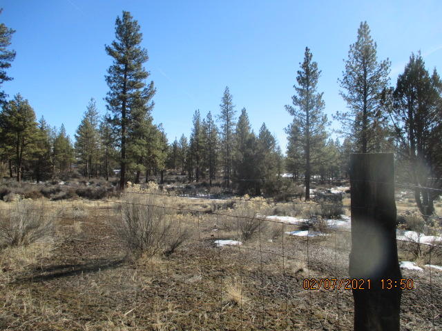 Klamath Forest Estates - Land