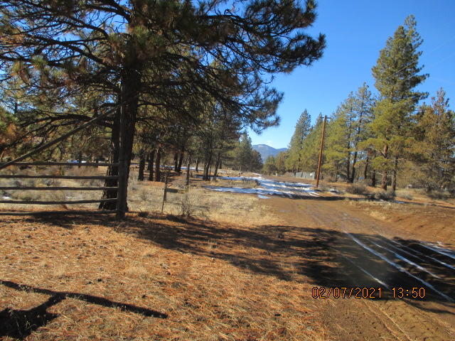 Level and fenced lot with tall trees and plenty of open space for a home and gardening. Well and septic are there from a previous mfg home. Septic needs to be certified before use. Buyers to do their own due diligence . Property is sold AS-IS.