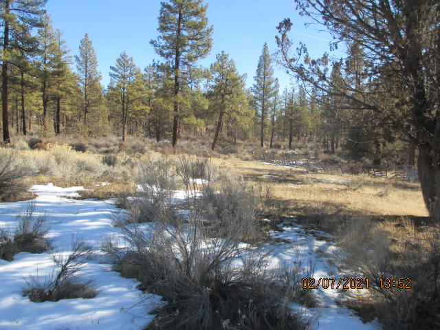 Klamath Forest Estates - Land