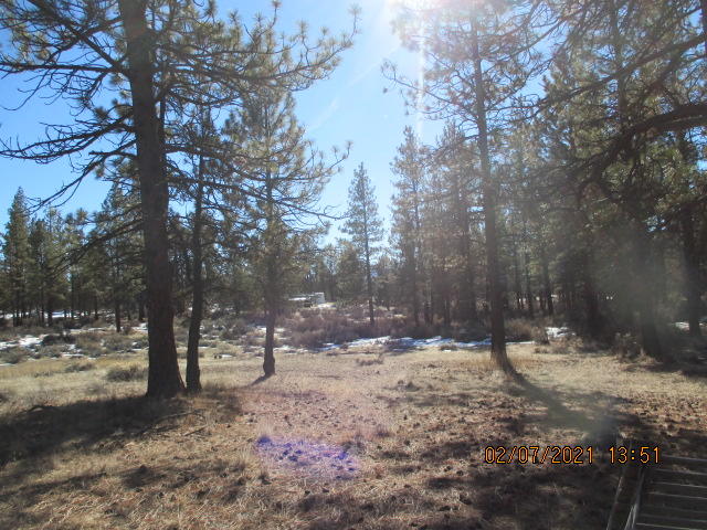 Klamath Forest Estates - Land