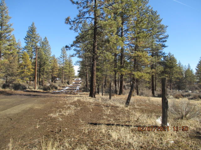 Klamath Forest Estates - Land