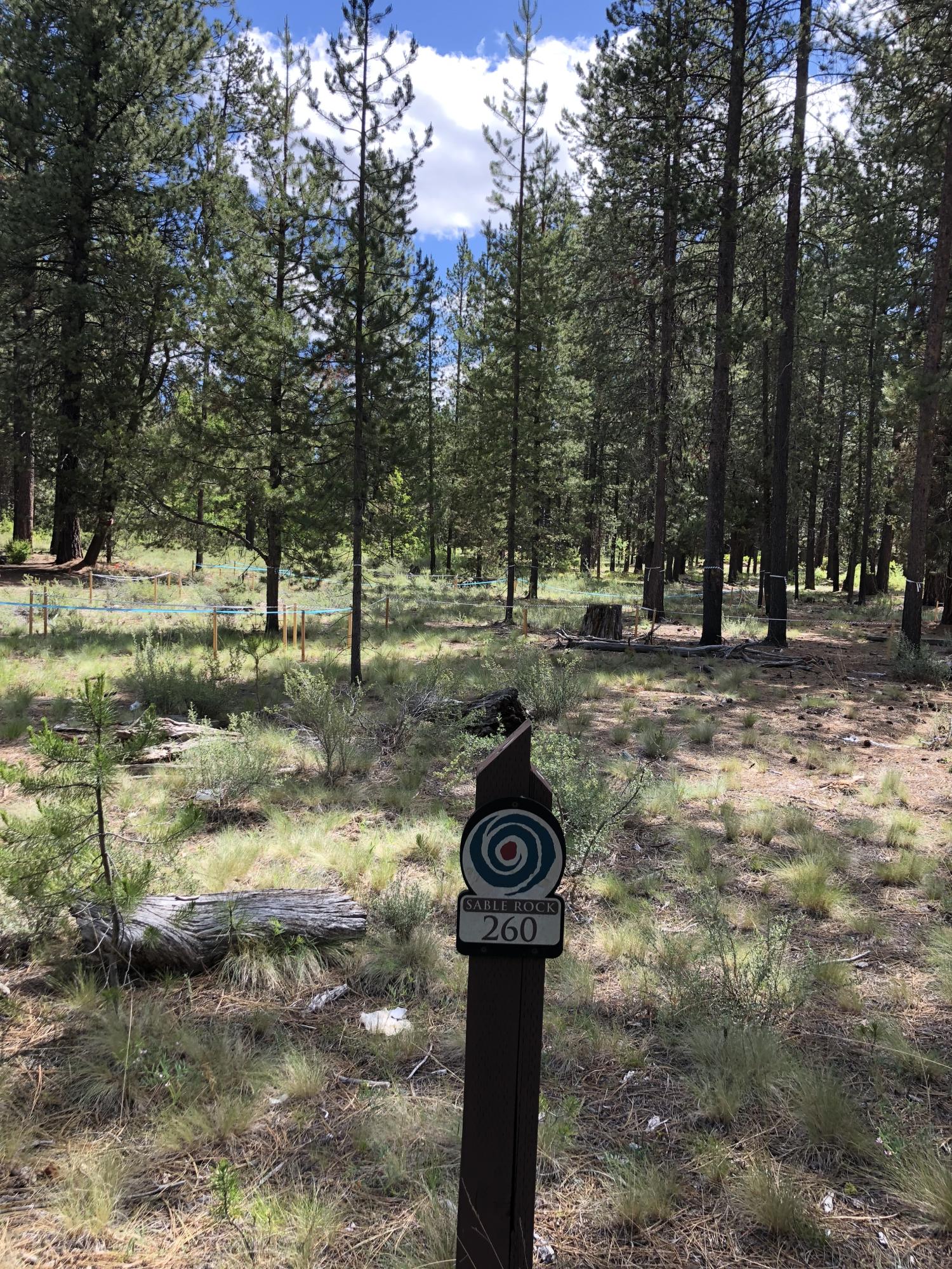 Caldera Springs - Residential