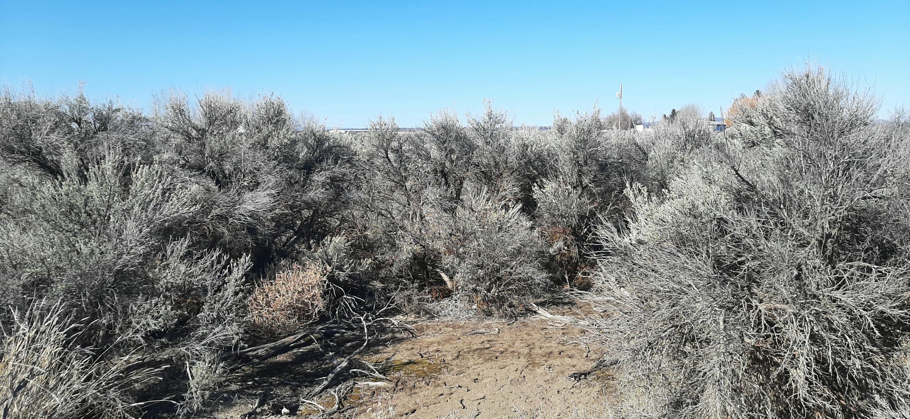 Christmas Valley Unit8 - Land
