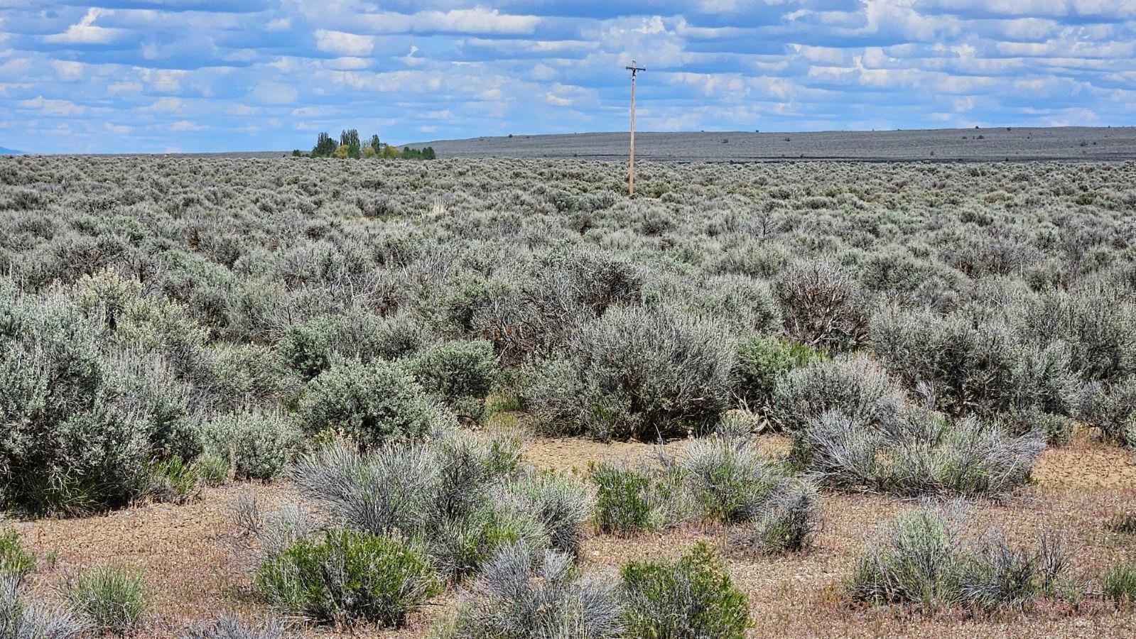 Sevan Lake Estates Unit 1 - Land