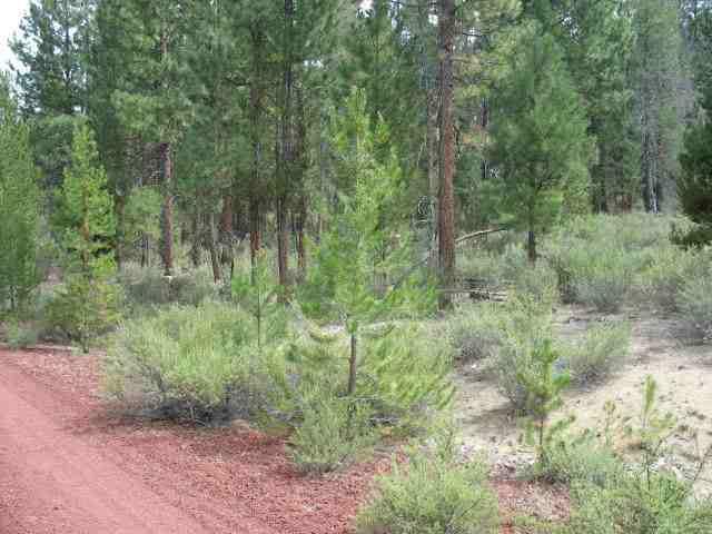 Nice Treed 1 Acre Lot. Mfg Home O.K. Seller Selling Property as-is. Any Potential Buyers Need To Receive A Copy Of Ccr's On The Sprague River Pines Developement. Any Questions Regarding The Future Developement Of The Property Should Be Taken To The County Planning Department For Relevant Answers.