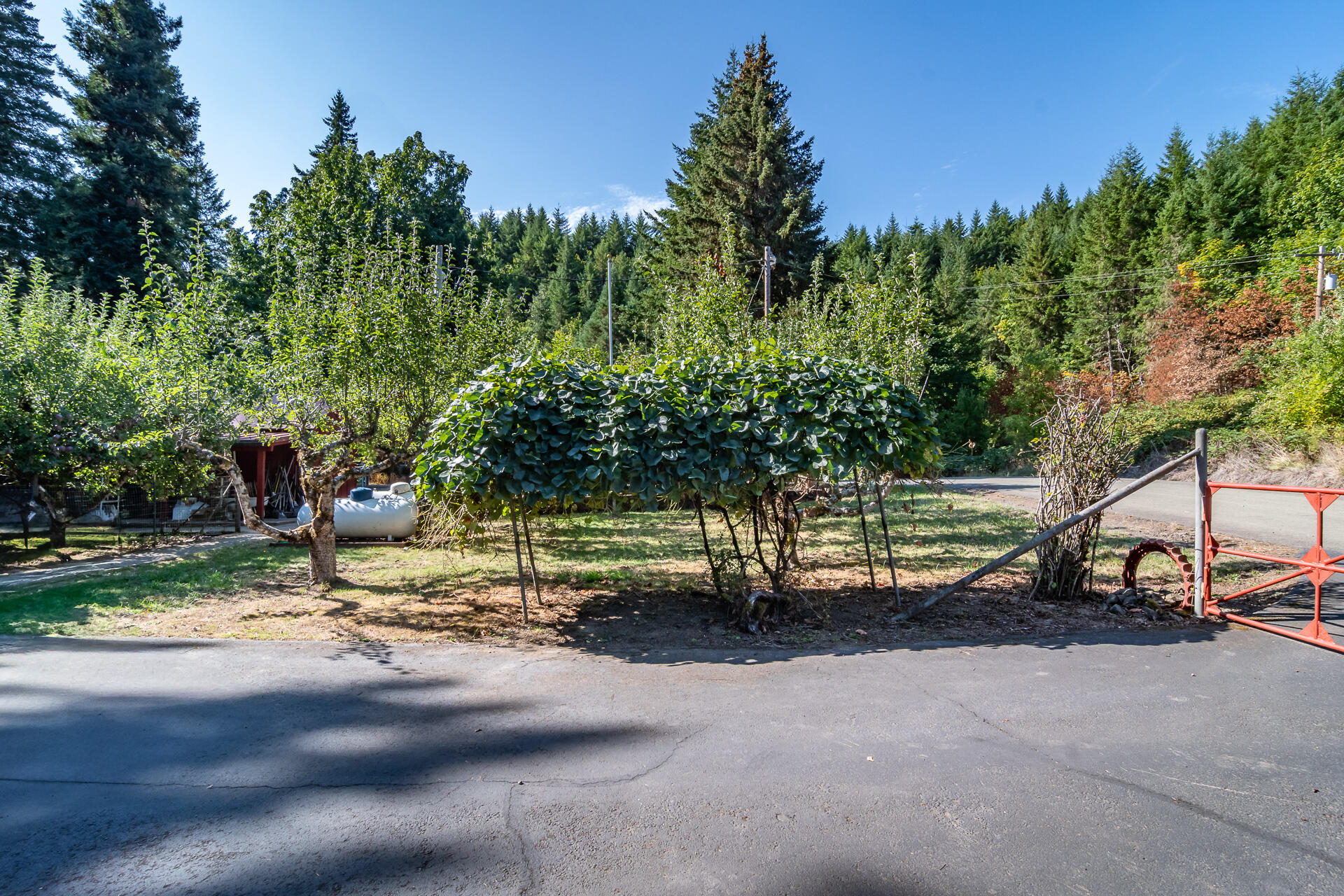 Drain's Addition To Drain - Residential