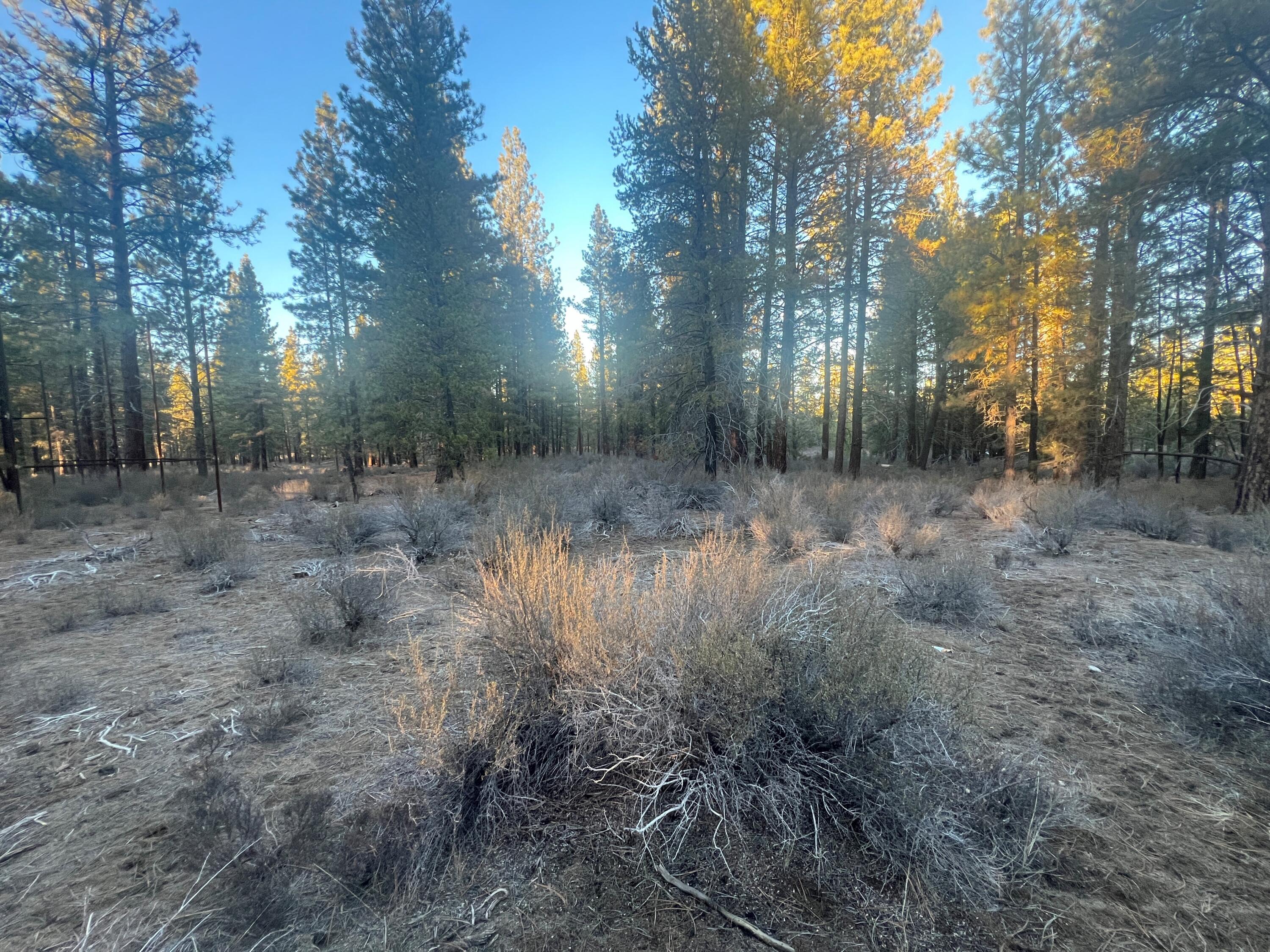 Just over an acre of beautiful, wooded, buildable land in peaceful Chiloquin! Level land ready for you to build your dream home, cabin or install a manufactured home in a private but not remote location. Situated among mature pines and native vegetation with plenty of room for a shop, gardens and so much more. Abundant wildlife passes through your property (fox, coyote, deer, bobcats, raccoons, countless birds.) A short walk to deeded river access lots on Williamson River for fishing, swimming & kayaking. This exclusive spot boasts trophy fishing holes. Trail ride out from your property to State Park & forest. This is a private, quiet neighborhood and only a 15 min drive to Chiloquin, 10 min to Collier St Park, 45 min to Klamath Falls and an hour to Crater Lake. Neighboring lot also for sale.