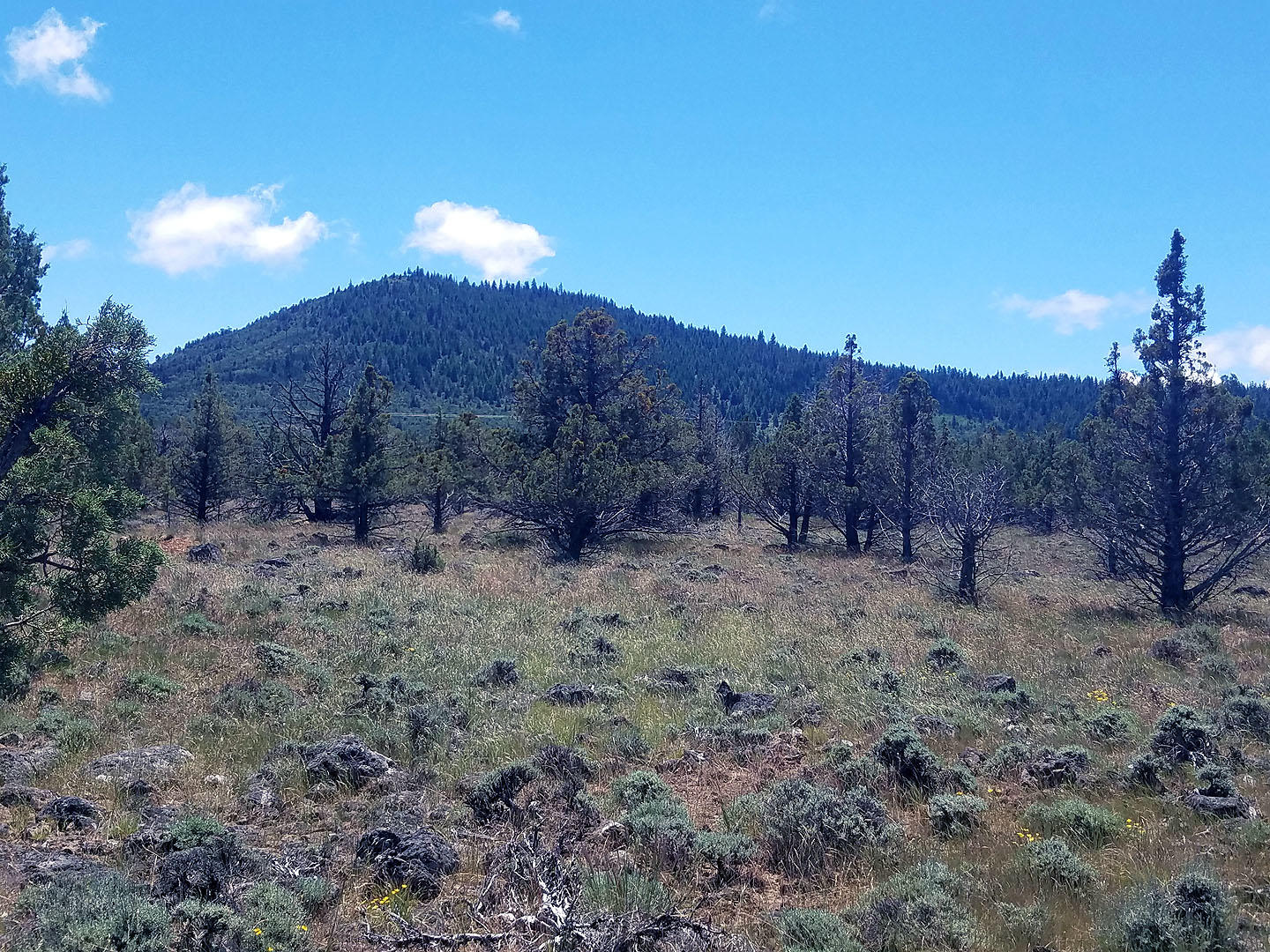 Cedar Trails - Land