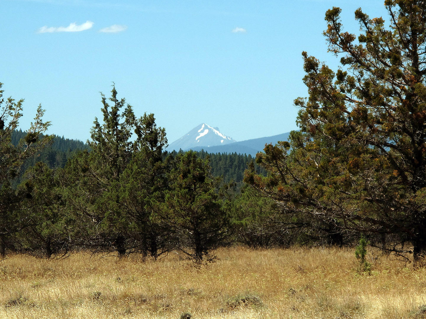 Cedar Trails - Land
