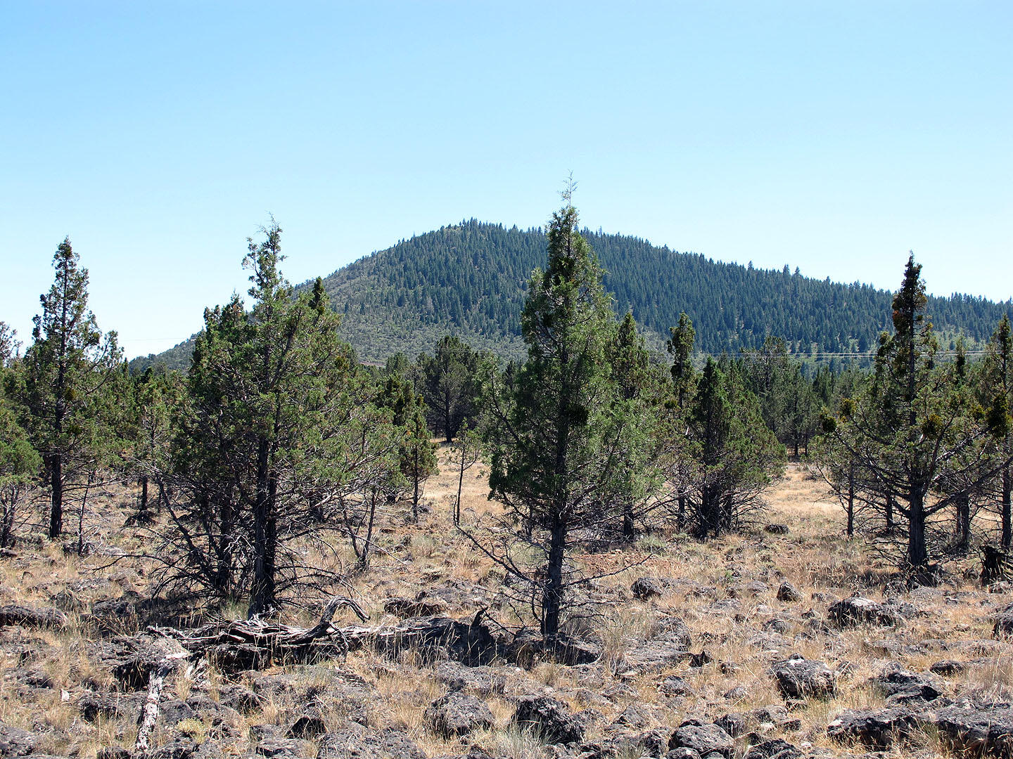 Cedar Trails - Land