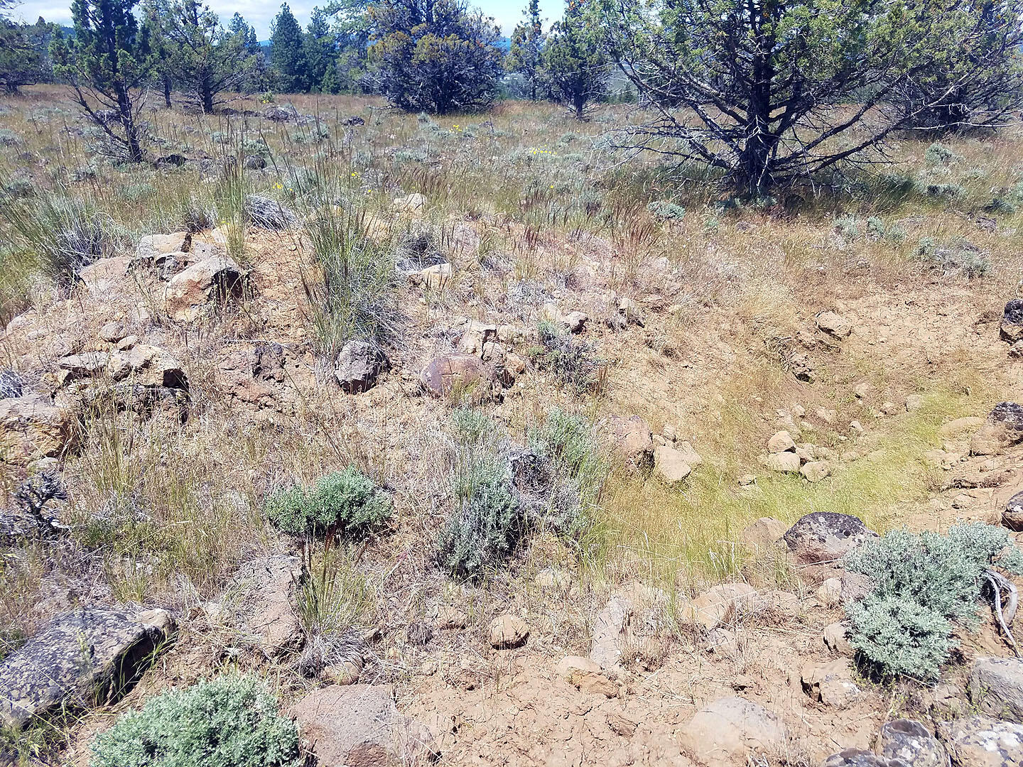 Cedar Trails - Land