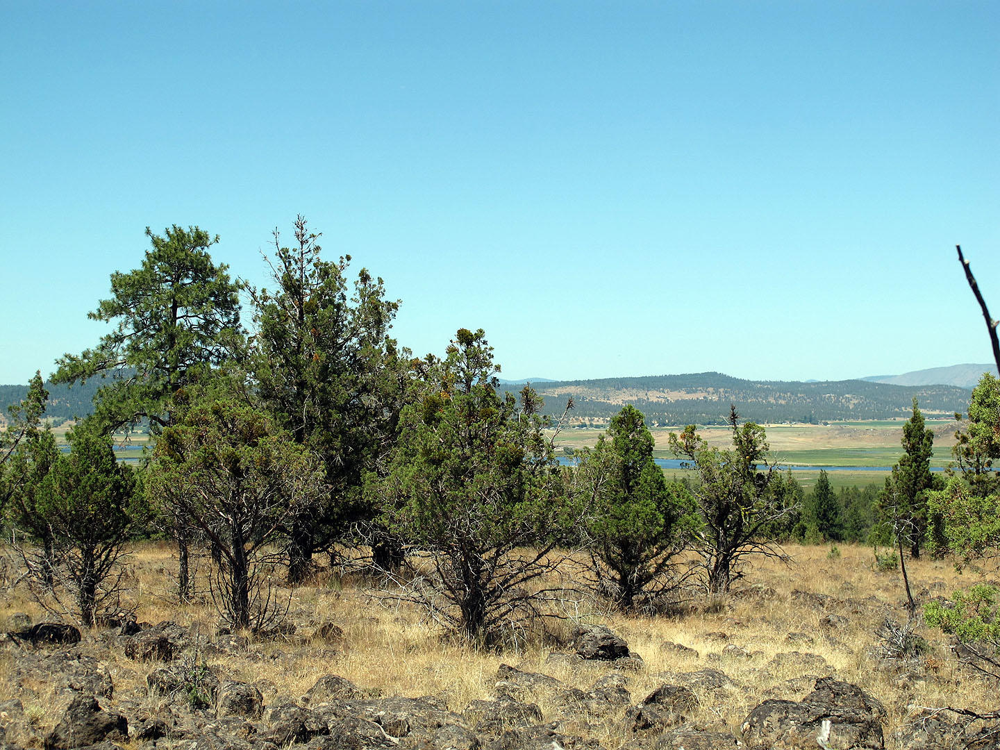 Cedar Trails - Land