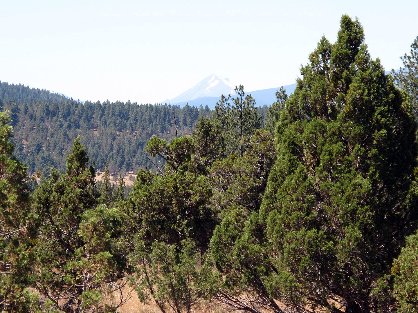 Cedar Trails - Land