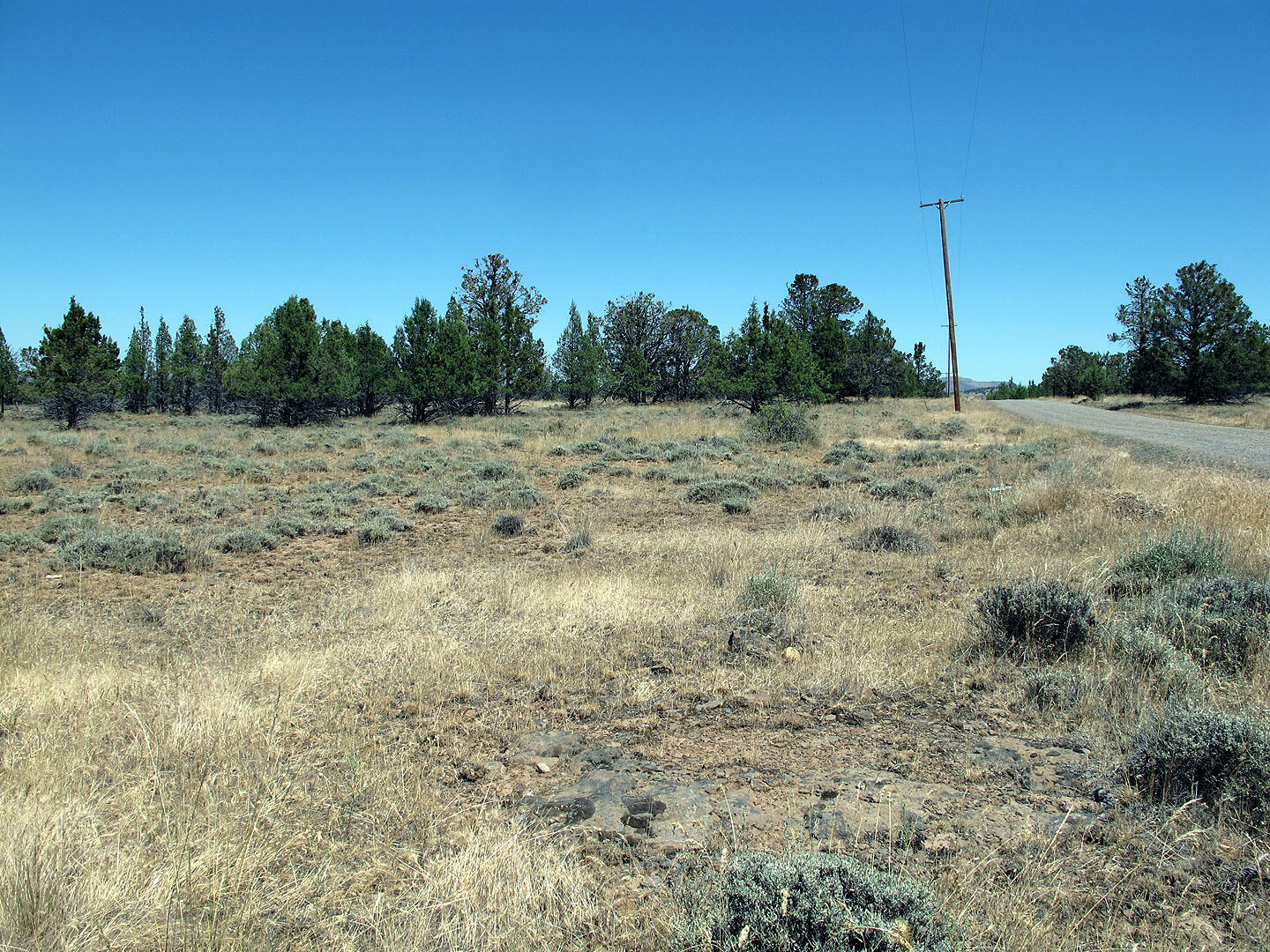 Cedar Trails - Land