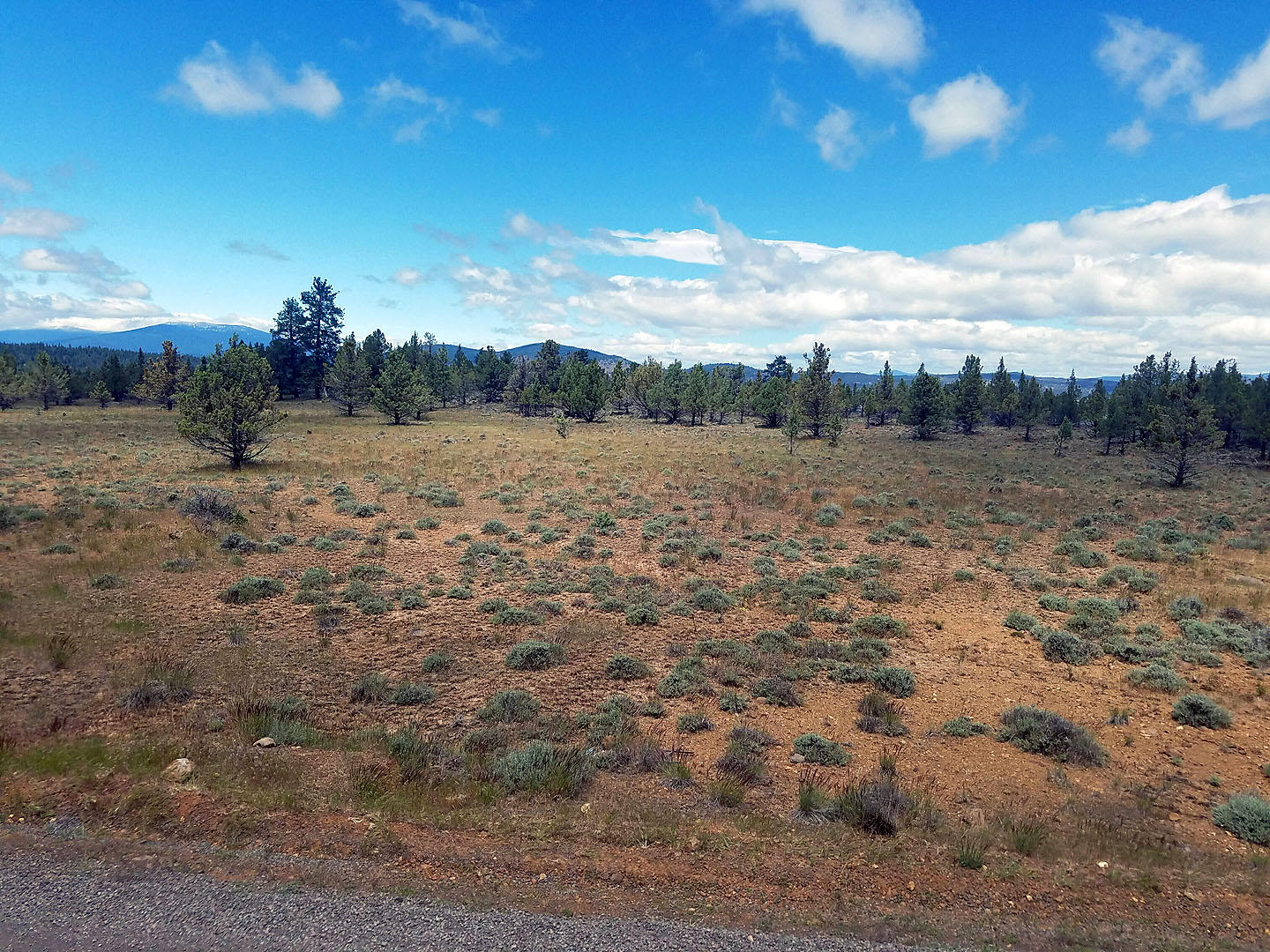 Build your dream home on this incredible level, 5 acre parcel in the keno area and enjoy the peace and serenity of country living. This Home site backs up to BLM land and has a nice view of the Klamath River on the North end of the property. This is an area that the wildlife plays all day long and you can watch the bald eagles sore above. There are only a few like this one left.