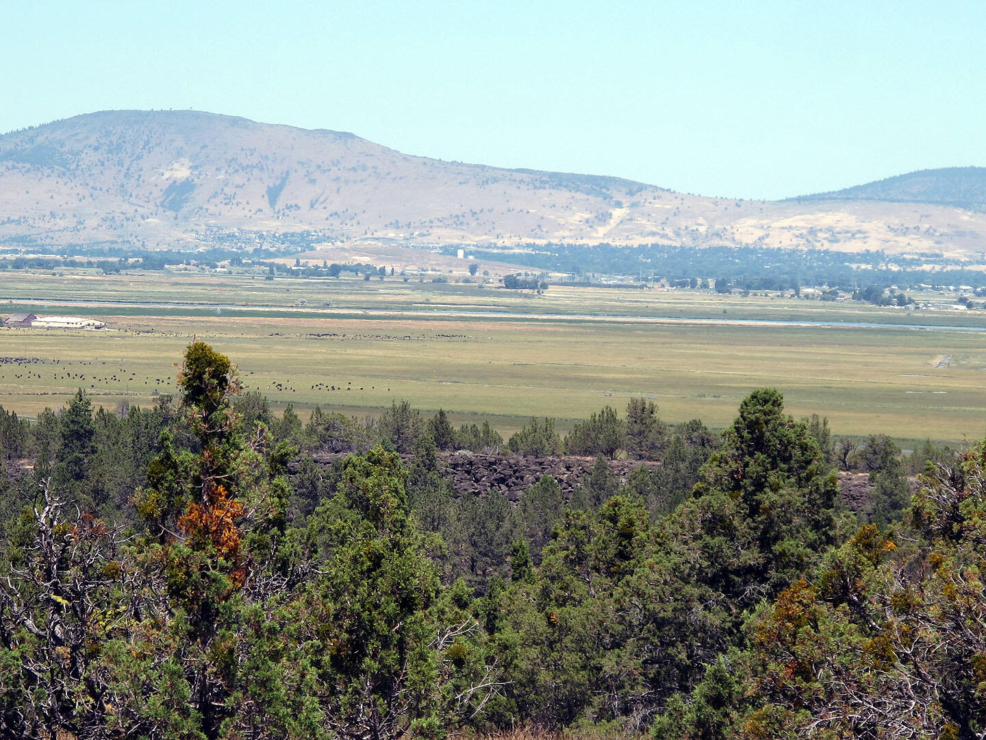 Cedar Trails - Land