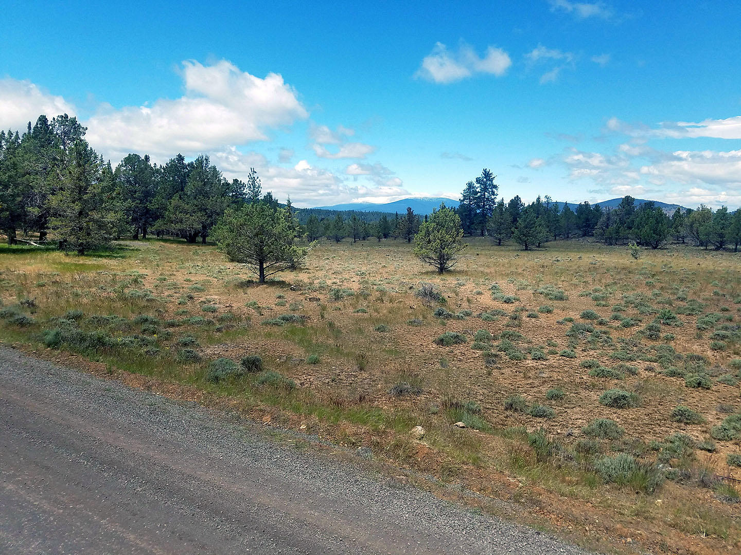Cedar Trails - Land