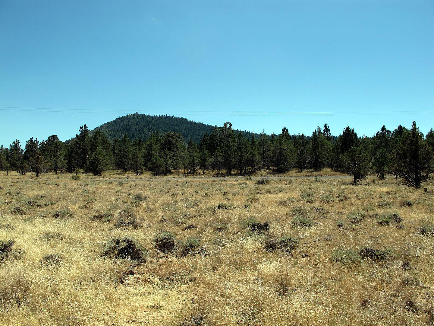 Cedar Trails - Land