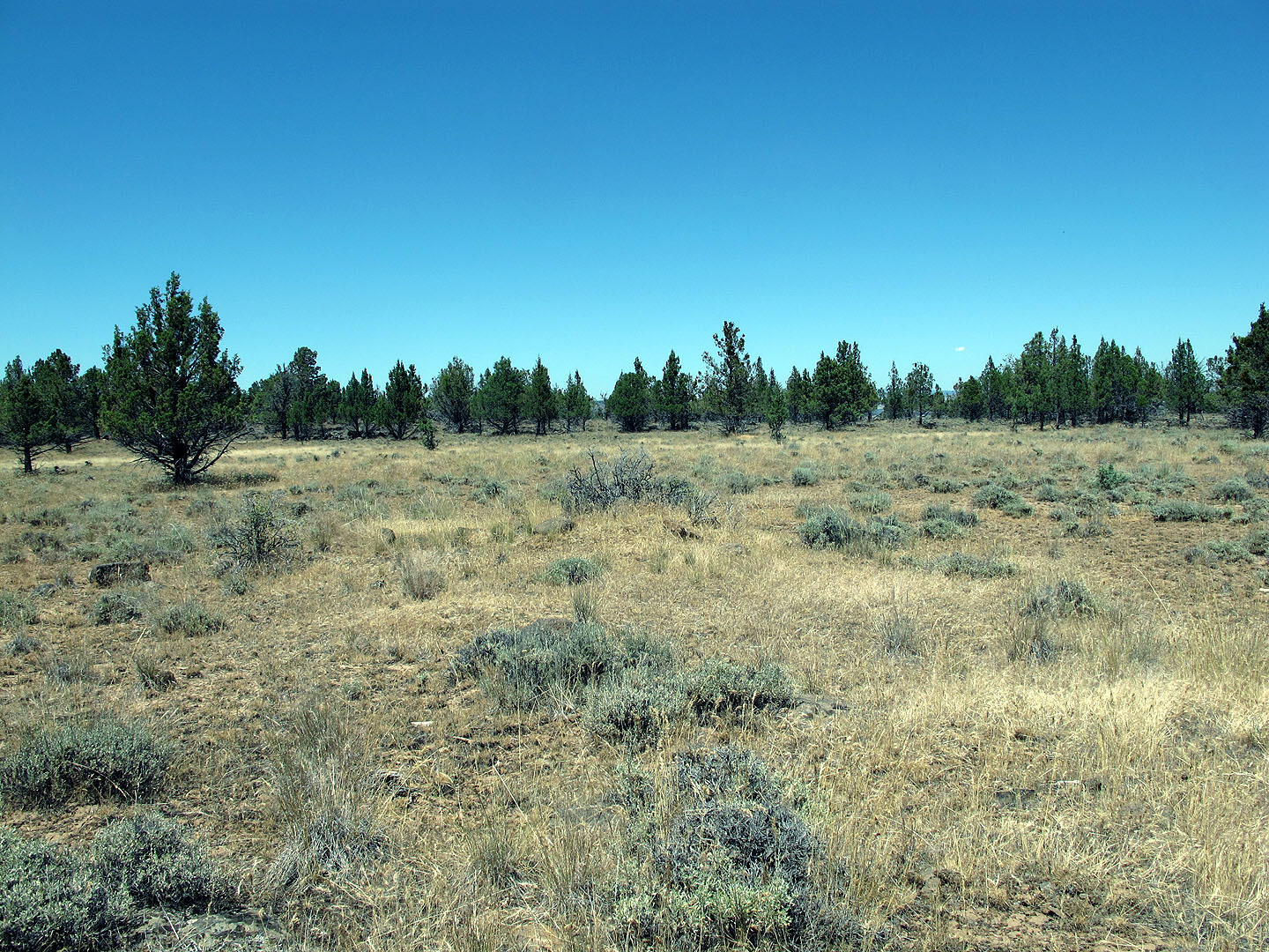 Cedar Trails - Land