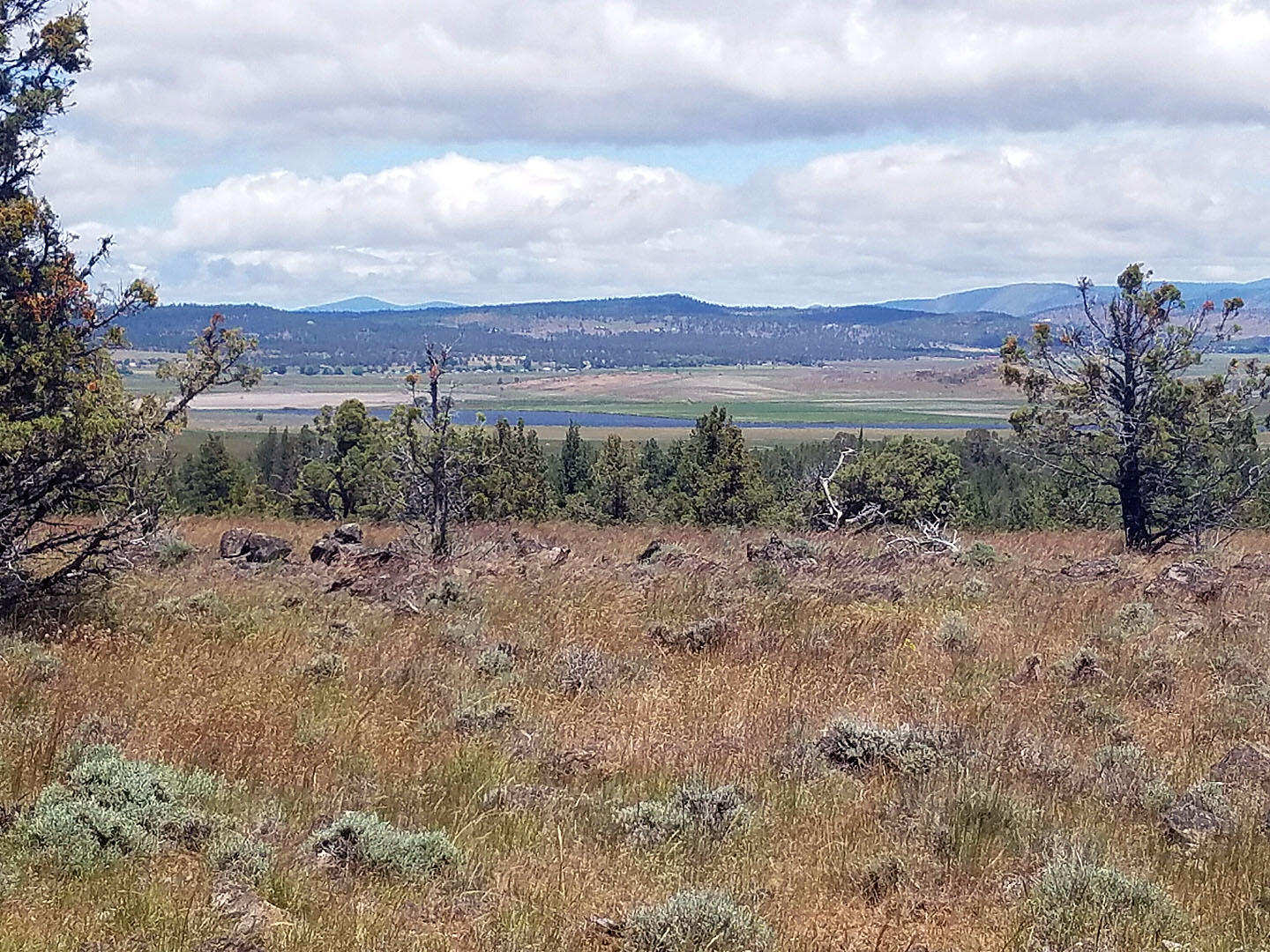 Cedar Trails - Land