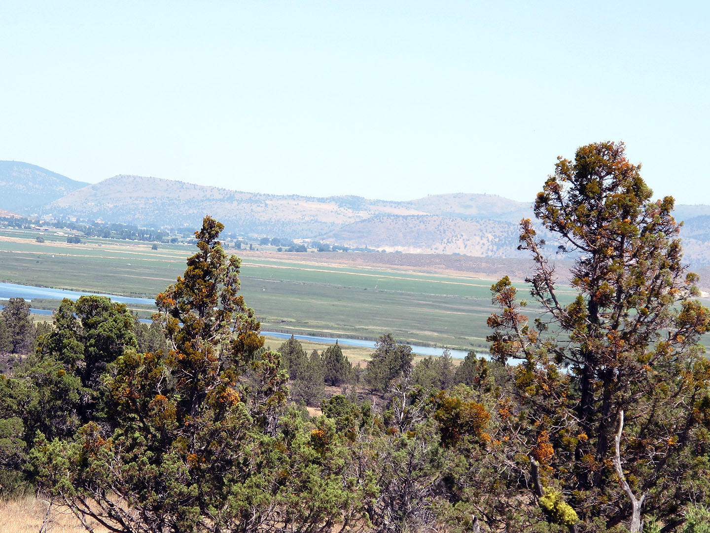 Cedar Trails - Land