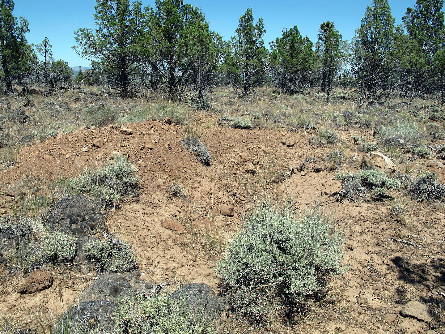 Cedar Trails - Land