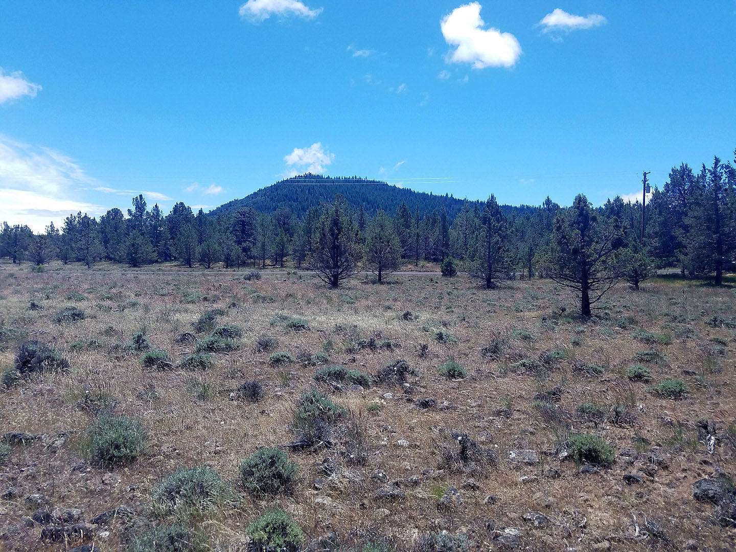 Cedar Trails - Land