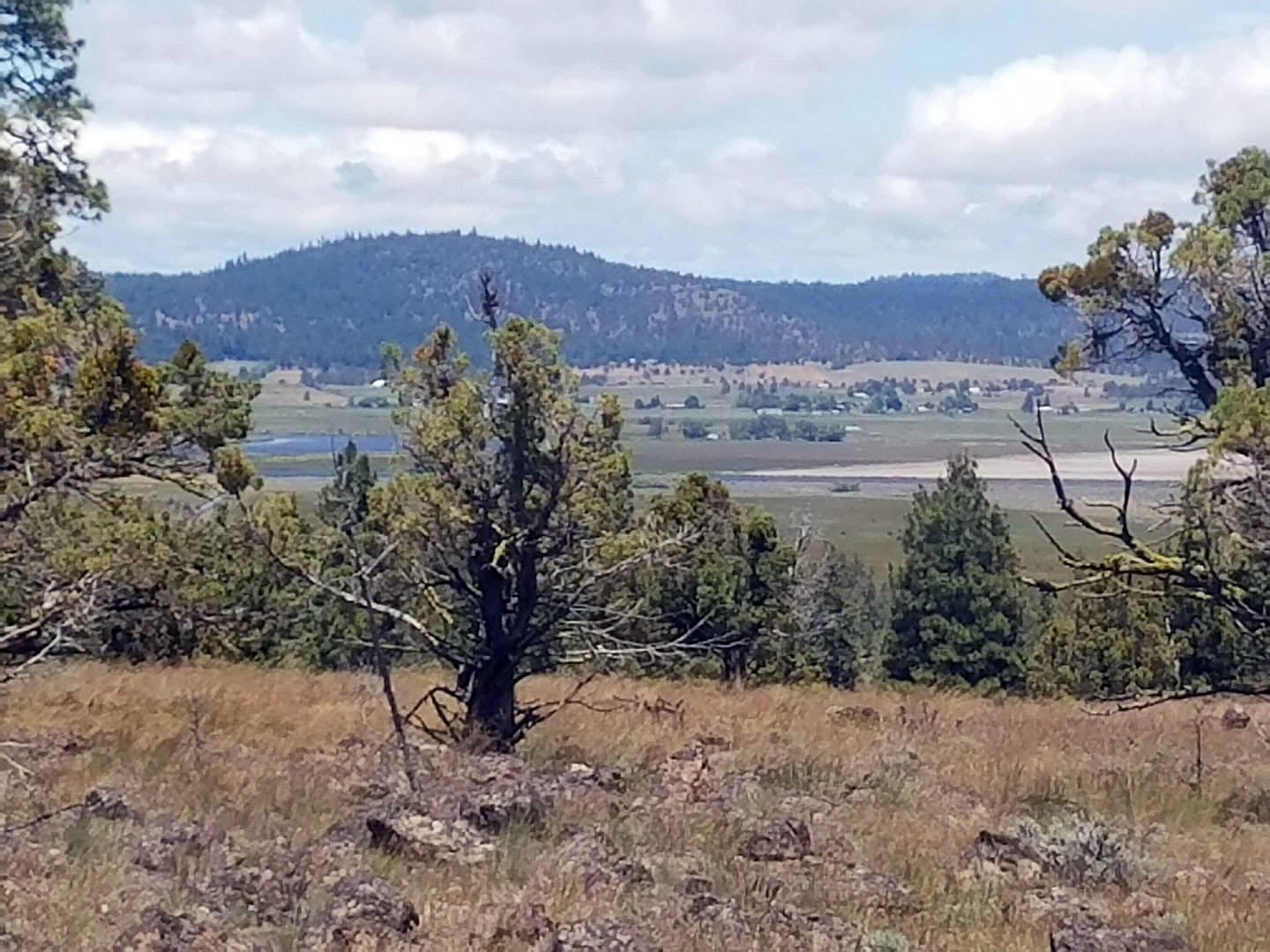 Cedar Trails - Land