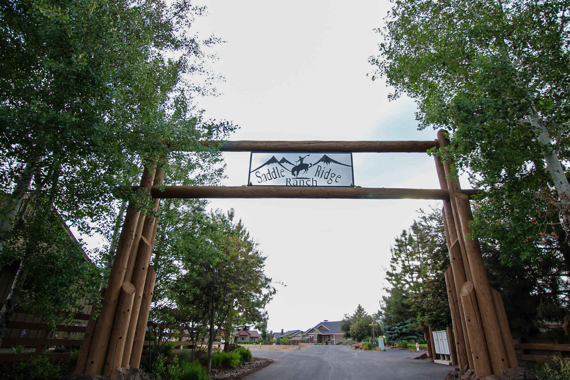 Saddle Ridge - Land