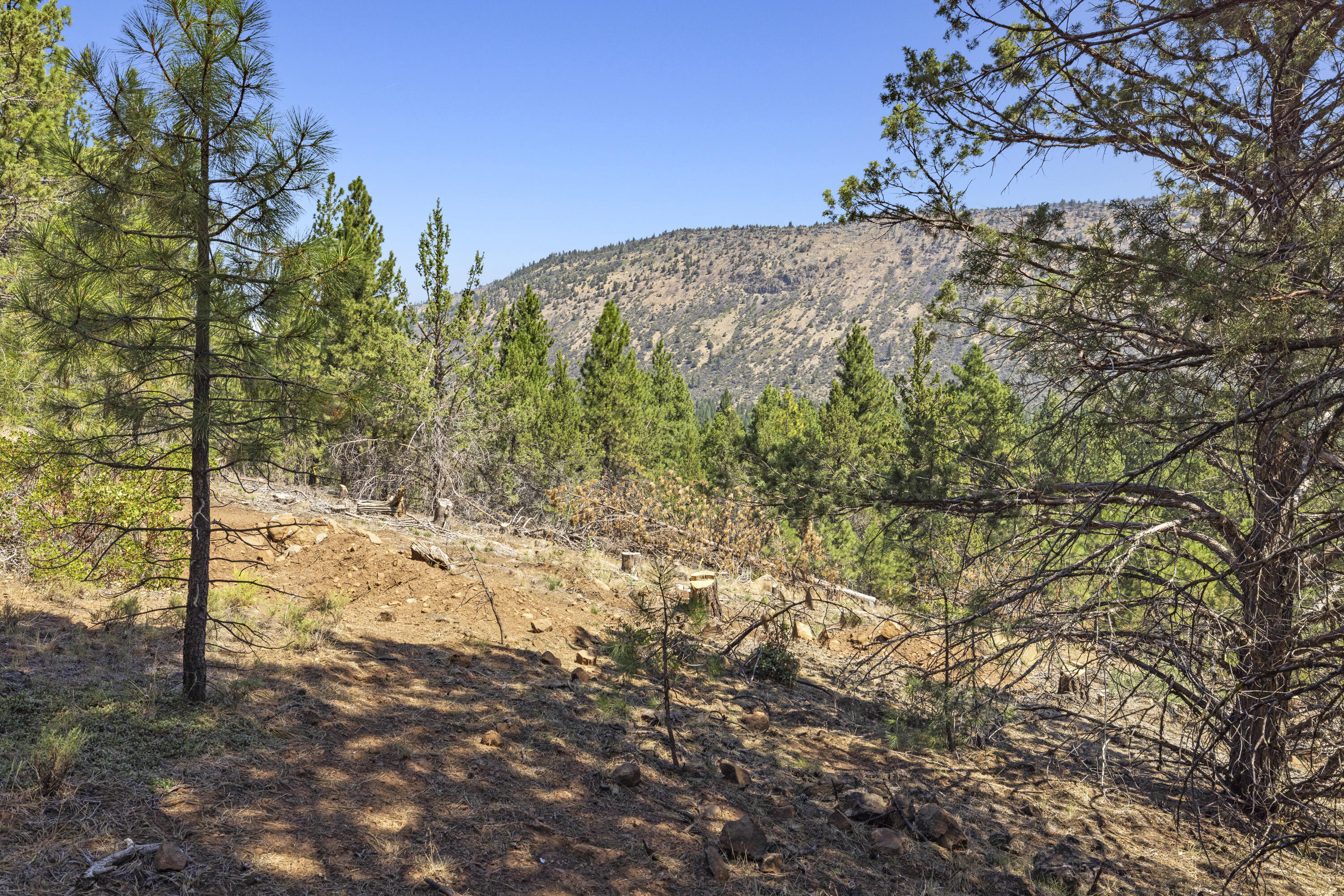 Plum Valley II - Land