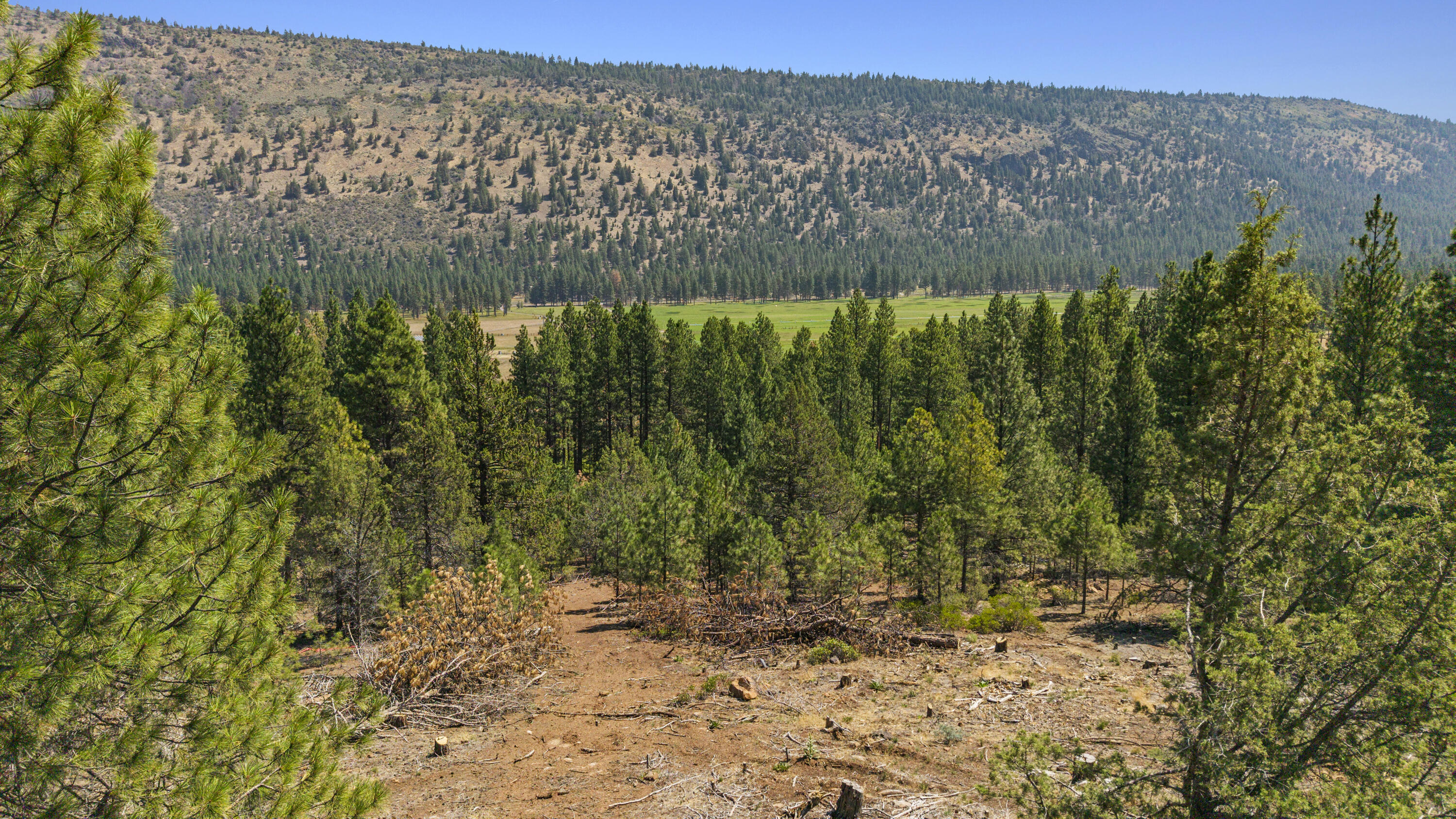 Plum Valley II - Land