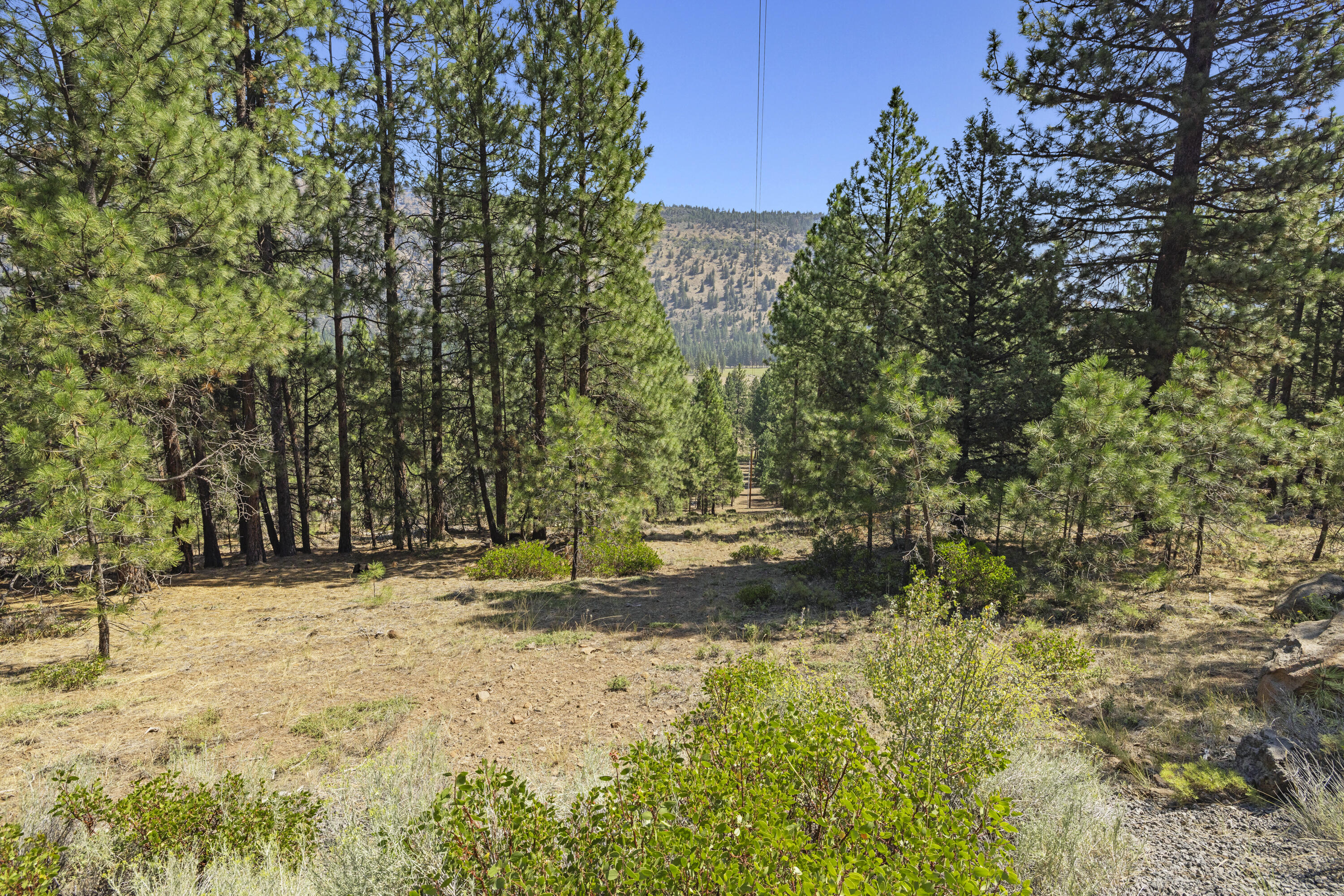 Looking to escape the hustle and bustle, but still live a short distance from town, this may be the property for you. Nestled in the pines of Simpson Canyon, just off Old Fort Rd, this 9.13 acre lot awaits! The seller has partially cleared some trees and began to cut in the driveway. Bring your imagination and plans for your new home! 
Septic approval on file. Power runs through property. Seller was ready to submit for building approval, but had a change of plans.