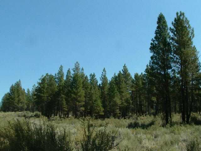 Sprague River - Land