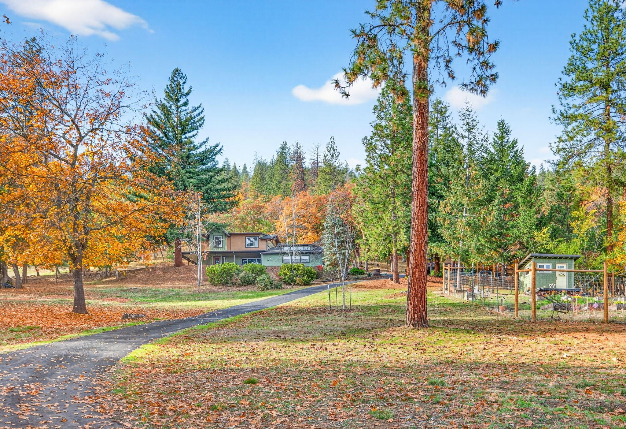 Welcome to your country home! Completely remodeled-updated and finished in 2025. This home sits on 7.01 acres of groomed property with wildlife abound, a great place to hike, hunt mushrooms, antler sheds, and be a part of nature. Expansive outdoor space and a thoughtfully designed home come together in perfect harmony. You are greeted by a wood-burning fireplace framed with local rock, open concept living, dining and kitchen. This spacious 4-bed 4-bath residence is ideal for multi-generational living with two primary ensuites. Picturesque views out every window and in every direction from the valley to the mountains. The kitchen features a copper farmhouse sink and quartzite countertops combining elegant and rustic details. Located in a rural setting and minutes from historic Jacksonville. Potential horse property. This is a true NW style home—spacious, scenic, and move-in ready!