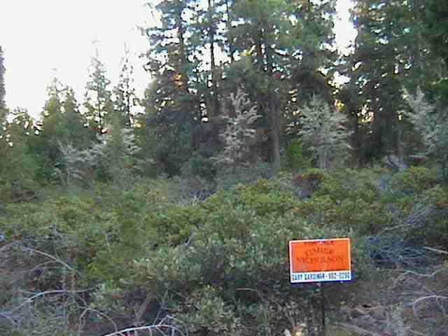 Approx. 2.34 Acres In The Pines, In The Bonanza Area.