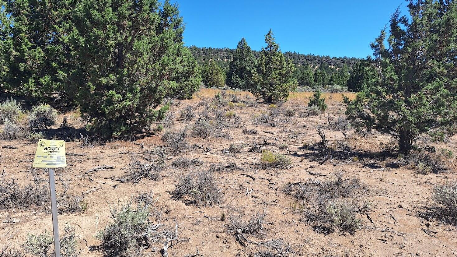 Looking for your own space for peace and quiet?  This 10 acre parcel in Golden View Ranch is just 30 miles from Bend, Oregon and offers wide- open skies, plenty of space to roam, and fantastic views of Pine Mountain and West Butte.  Located near miles of public lands giving you even more space to explore. The parcel is non-buildable, perfect for camping trips, stargazing, escaping into the quiet of the desert.  Whether you are into hiking, biking, off-roading, or just looking for a place to relax, this is the spot you have been searching for.    Please call for map/directions before trying to locate the property.  Higher clearance vehicle recommended.