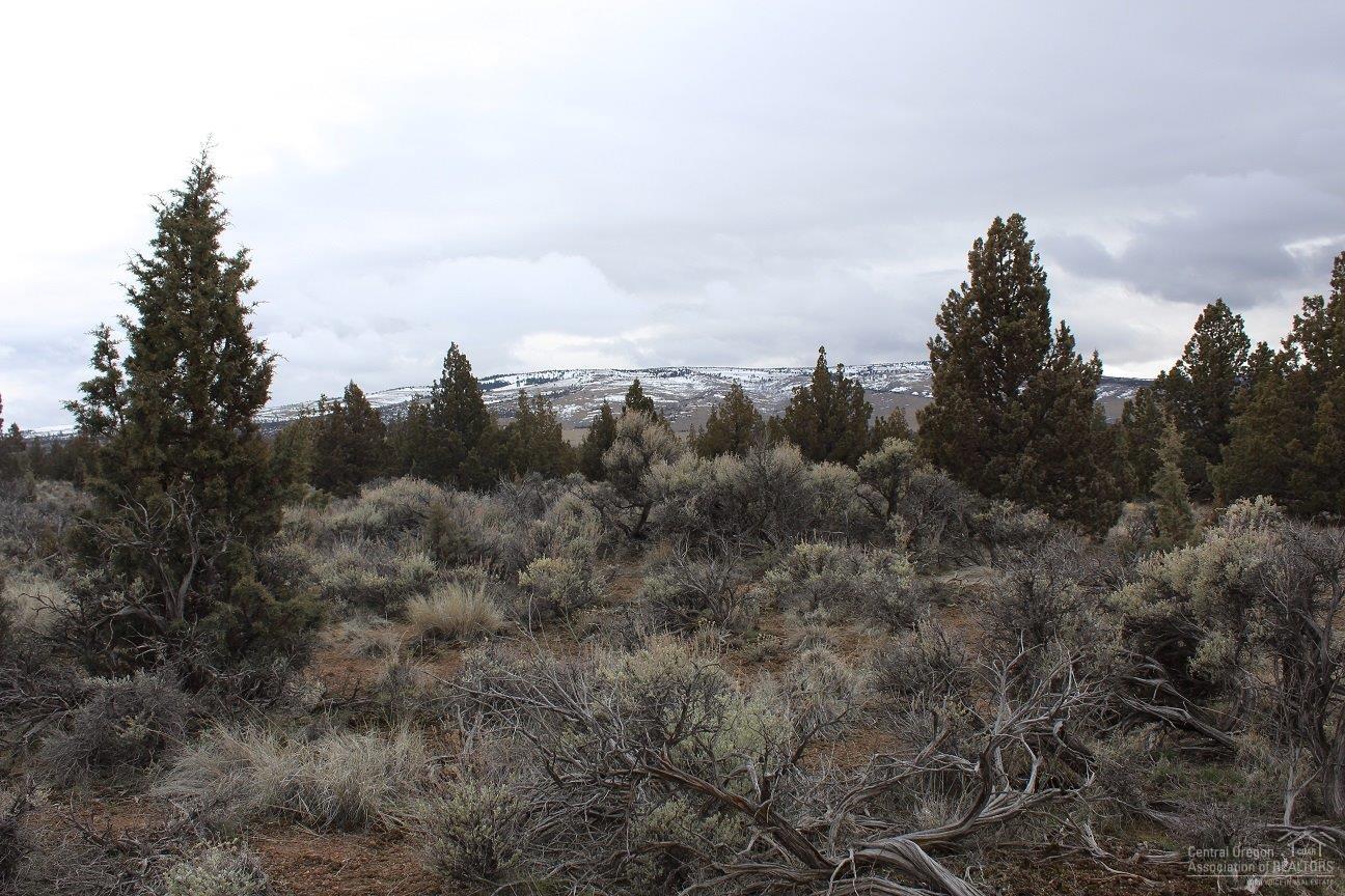 Juniper Acres - Land